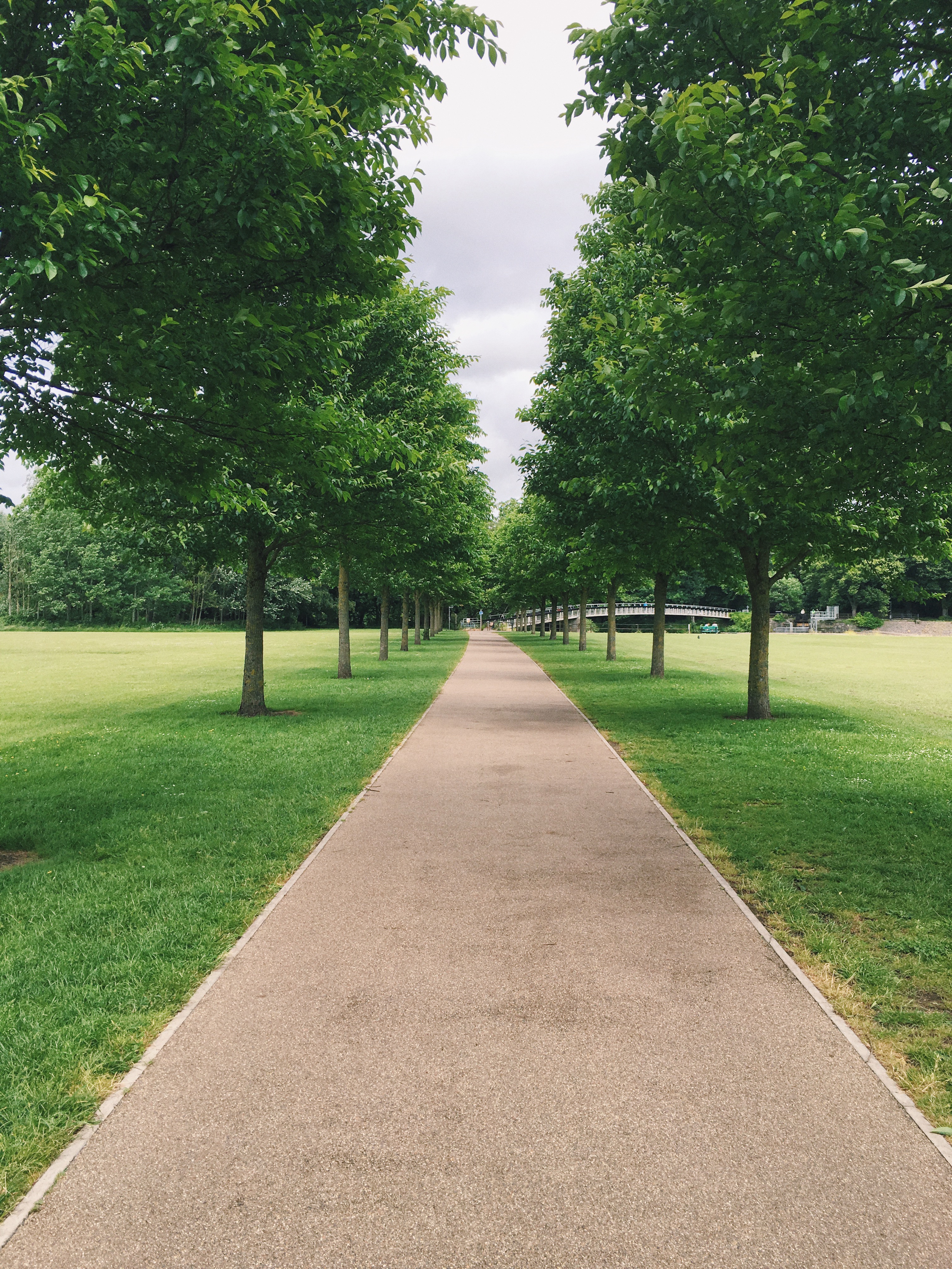 Processed with VSCO with c1 preset