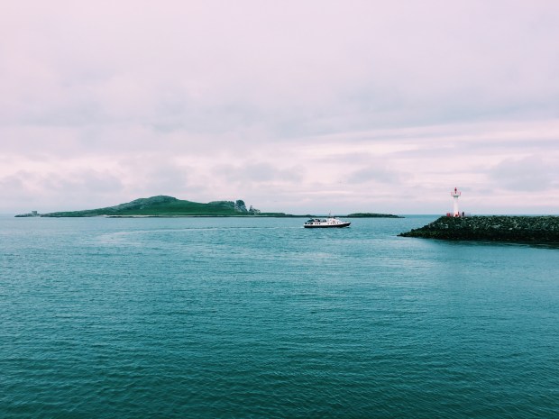 Processed with VSCO with c1 preset