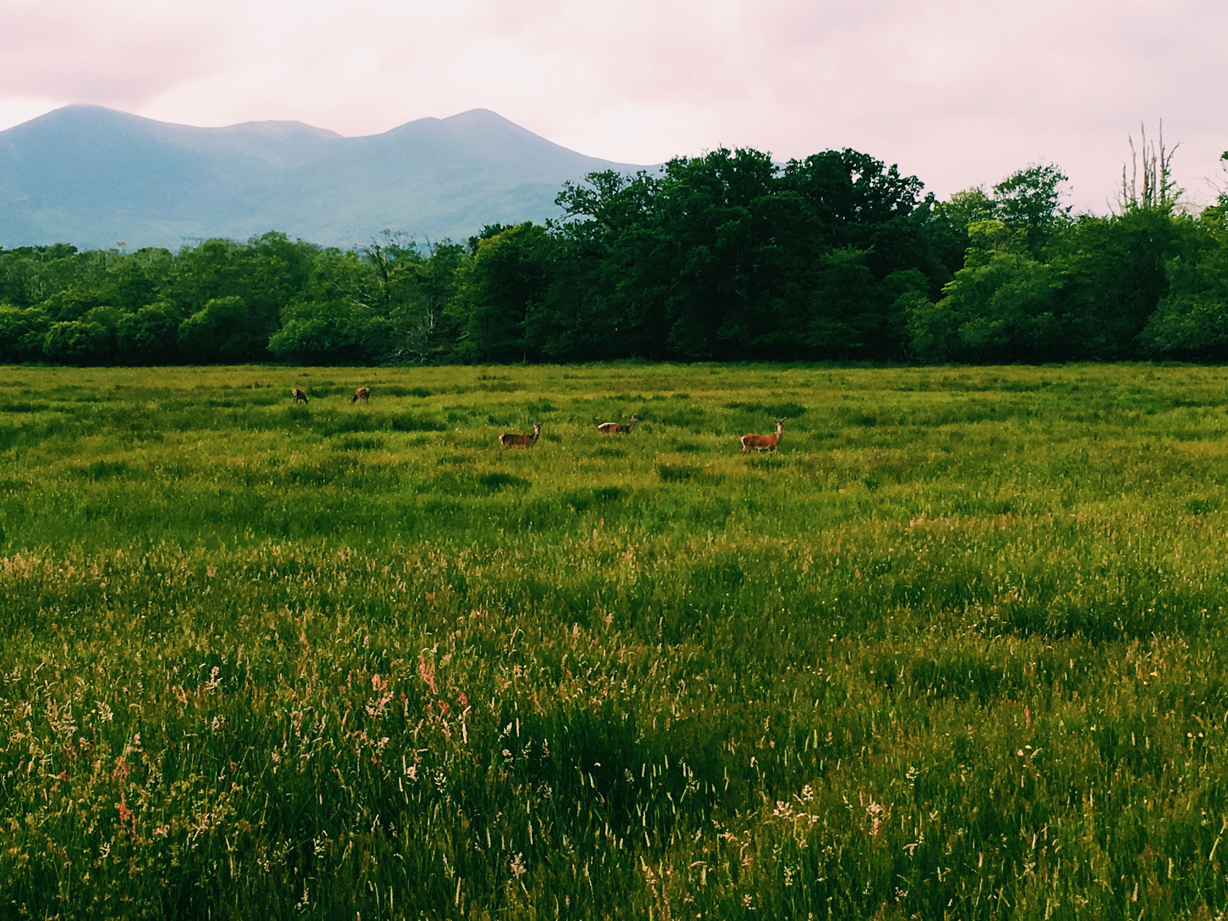 Processed with VSCO with c1 preset