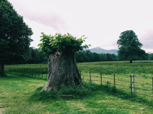 Processed with VSCO with c1 preset