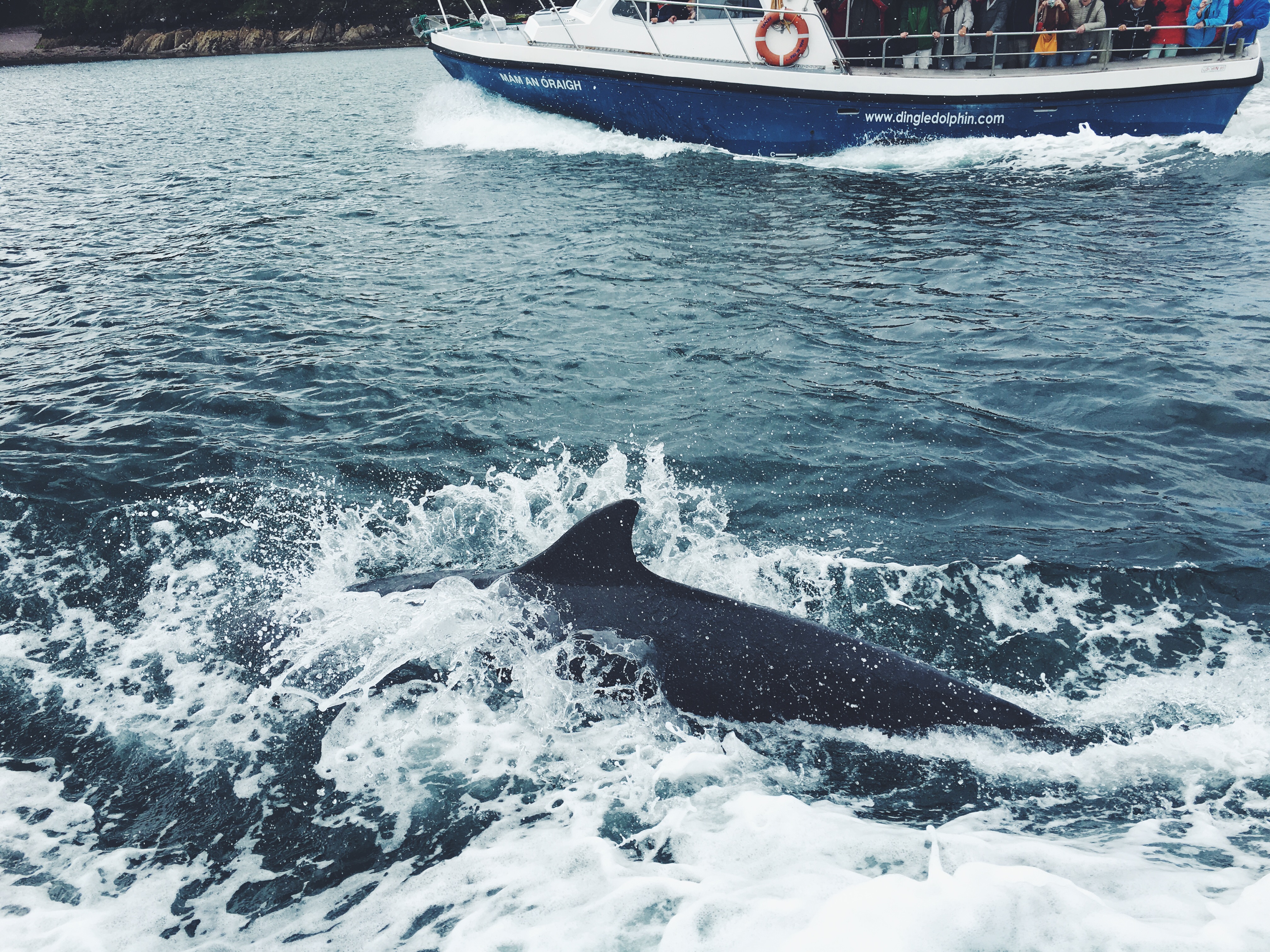 Processed with VSCO with f2 preset