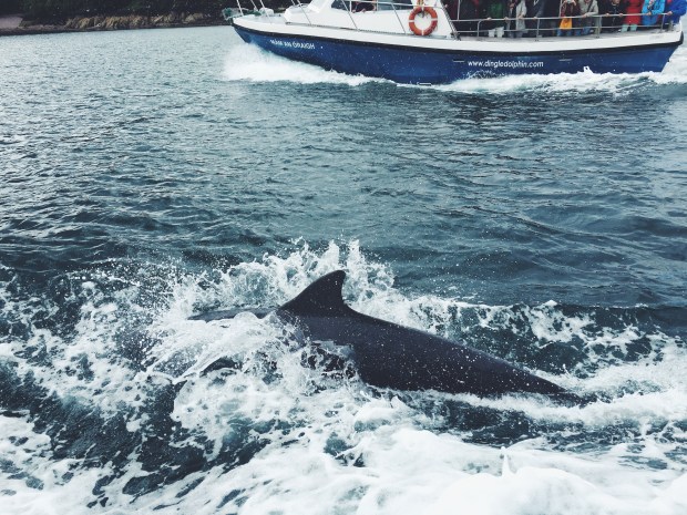 Processed with VSCO with f2 preset