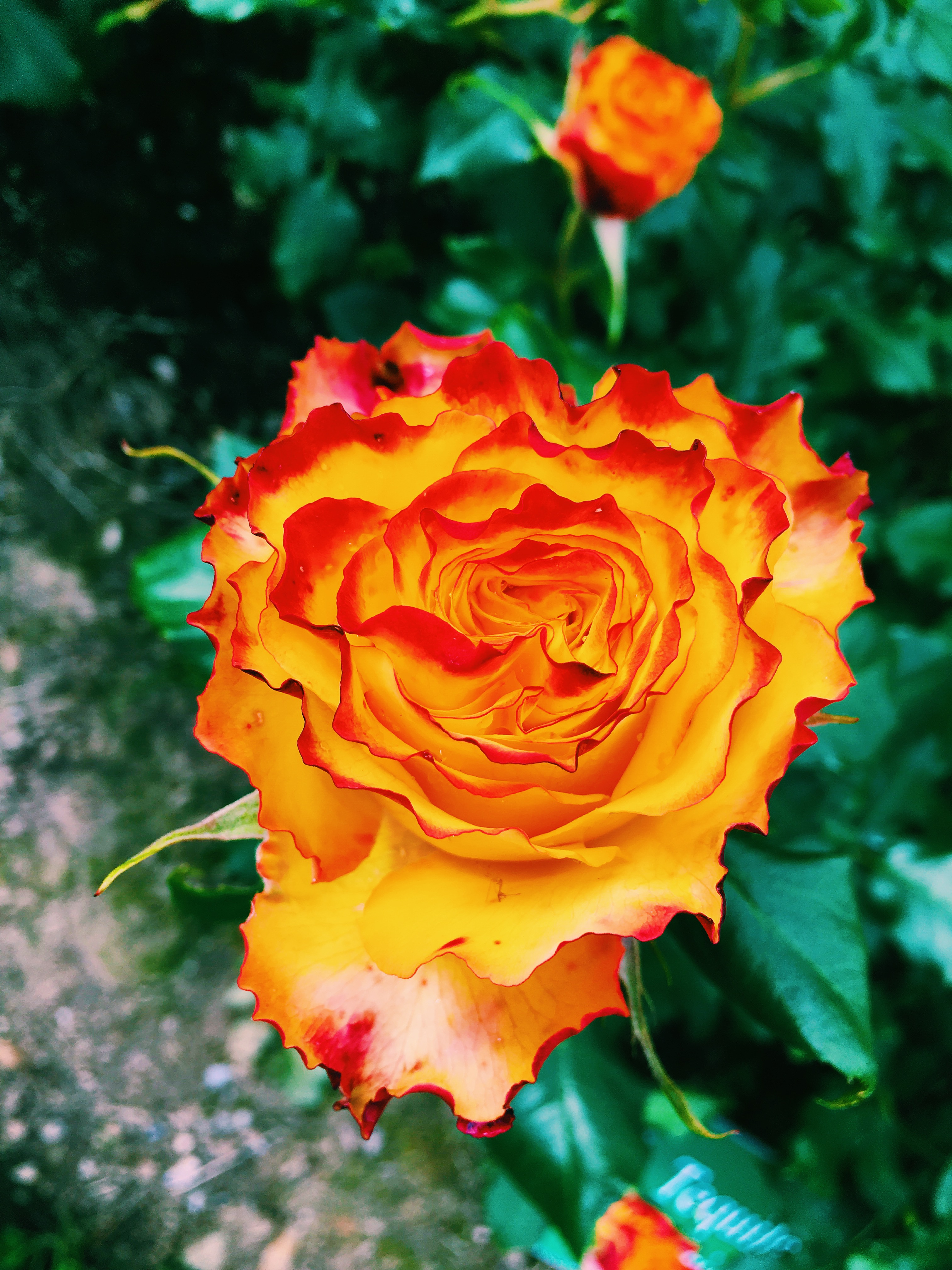 Processed with VSCO with c1 preset