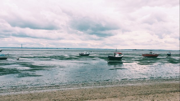 Processed with VSCO with c1 preset