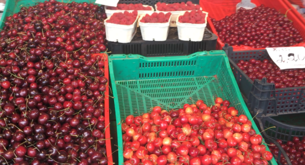 Screen Shot 2016-07-10 at 4.59.04 PM