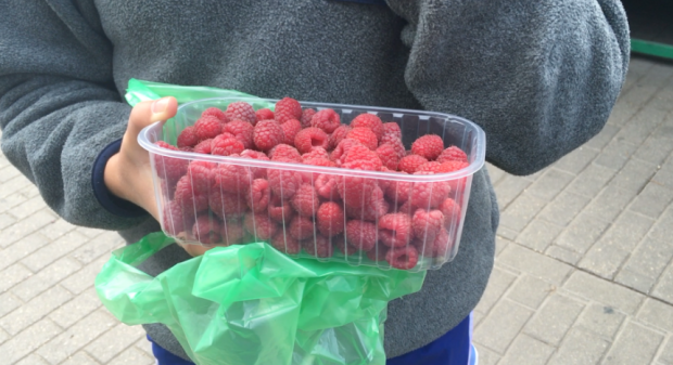 Screen Shot 2016-07-10 at 4.59.52 PM