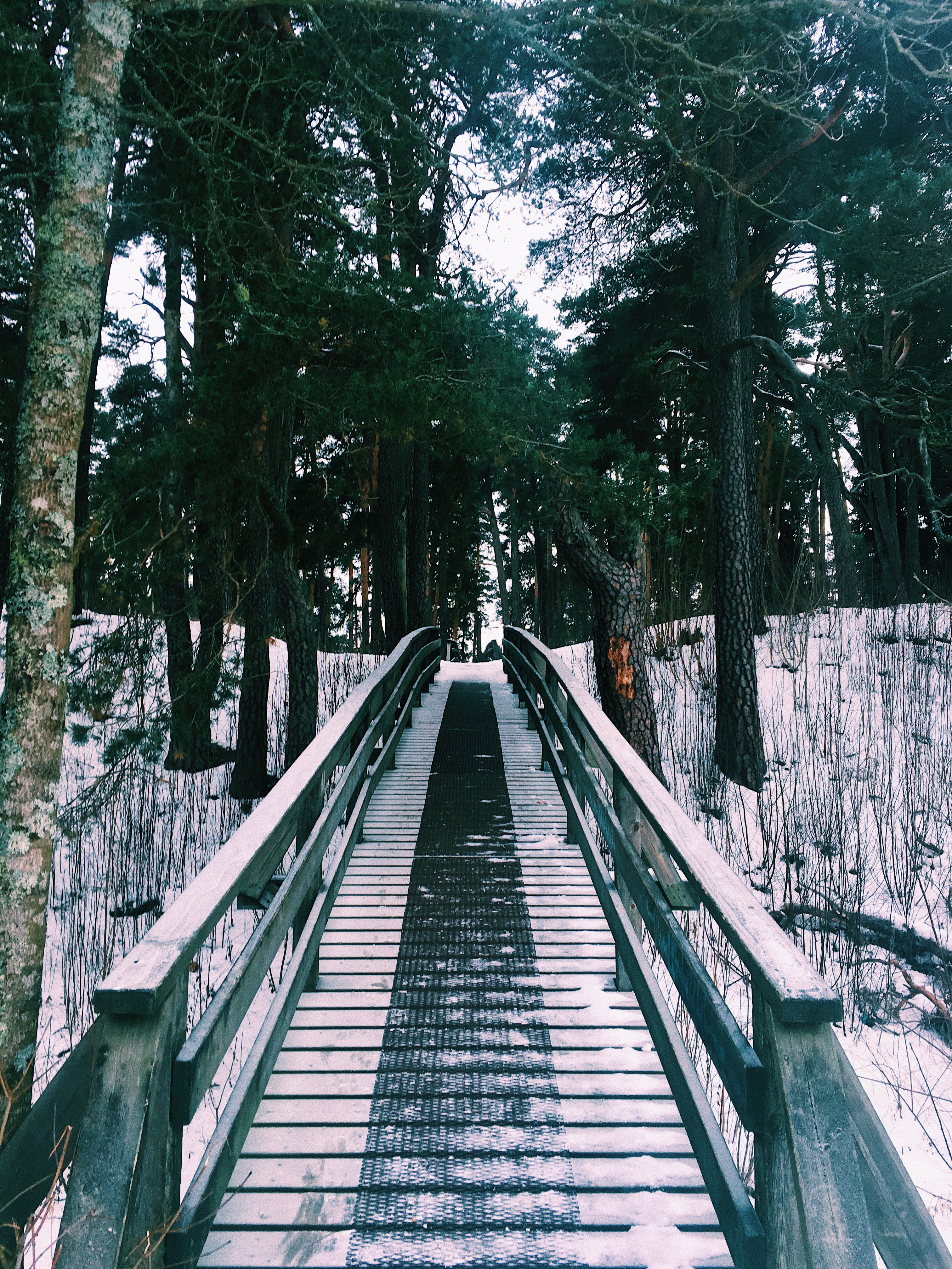 Processed with VSCO with c1 preset