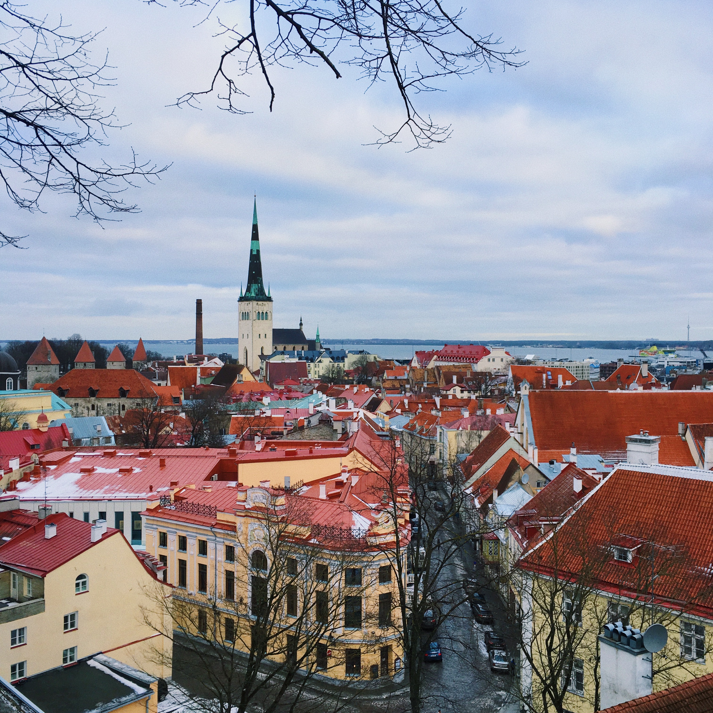 Processed with VSCO with c1 preset