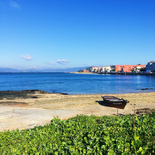 D1A3383D-61C8-4952-A23C-FBECFD47A446