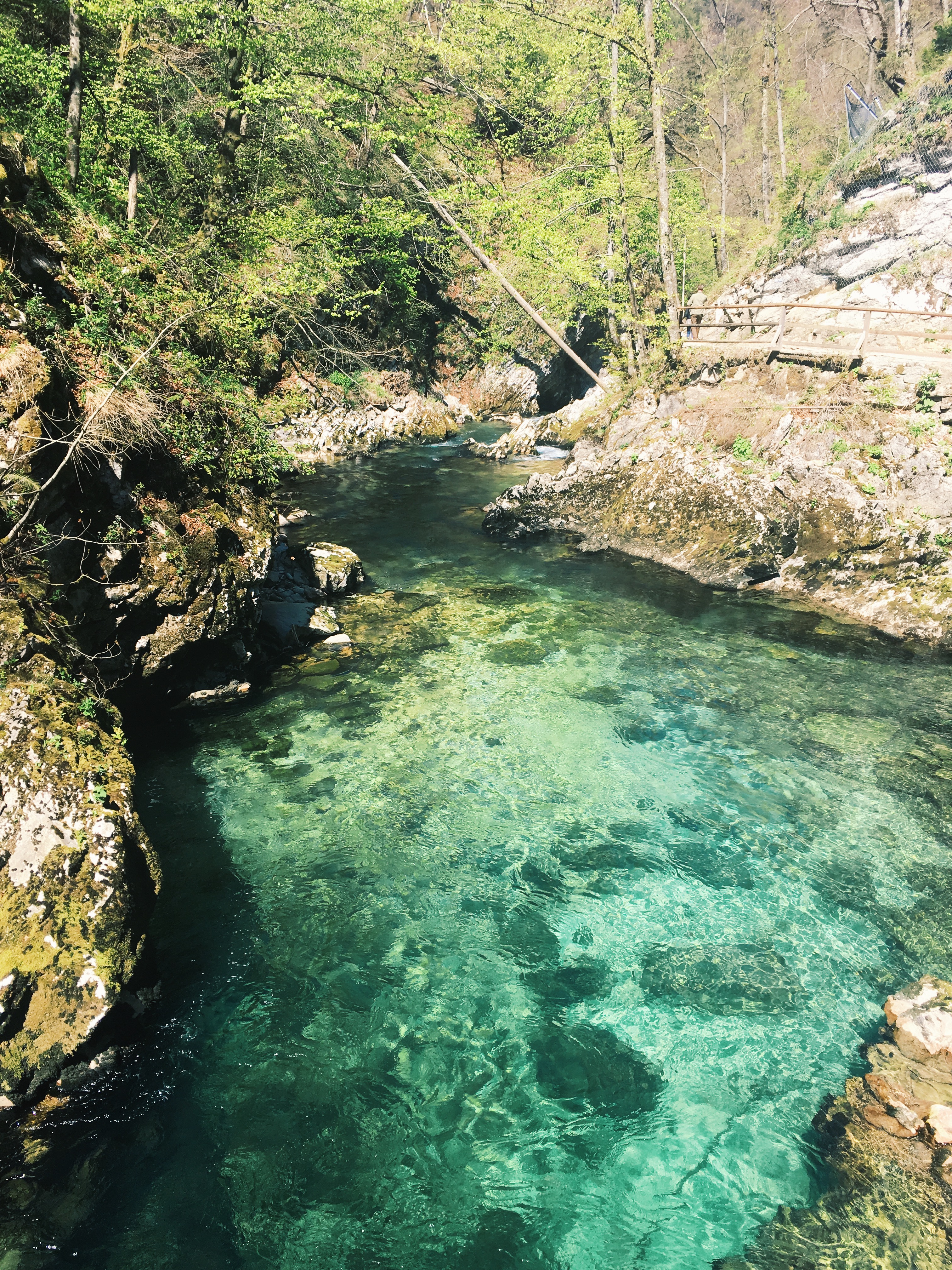 Processed with VSCO with g3 preset