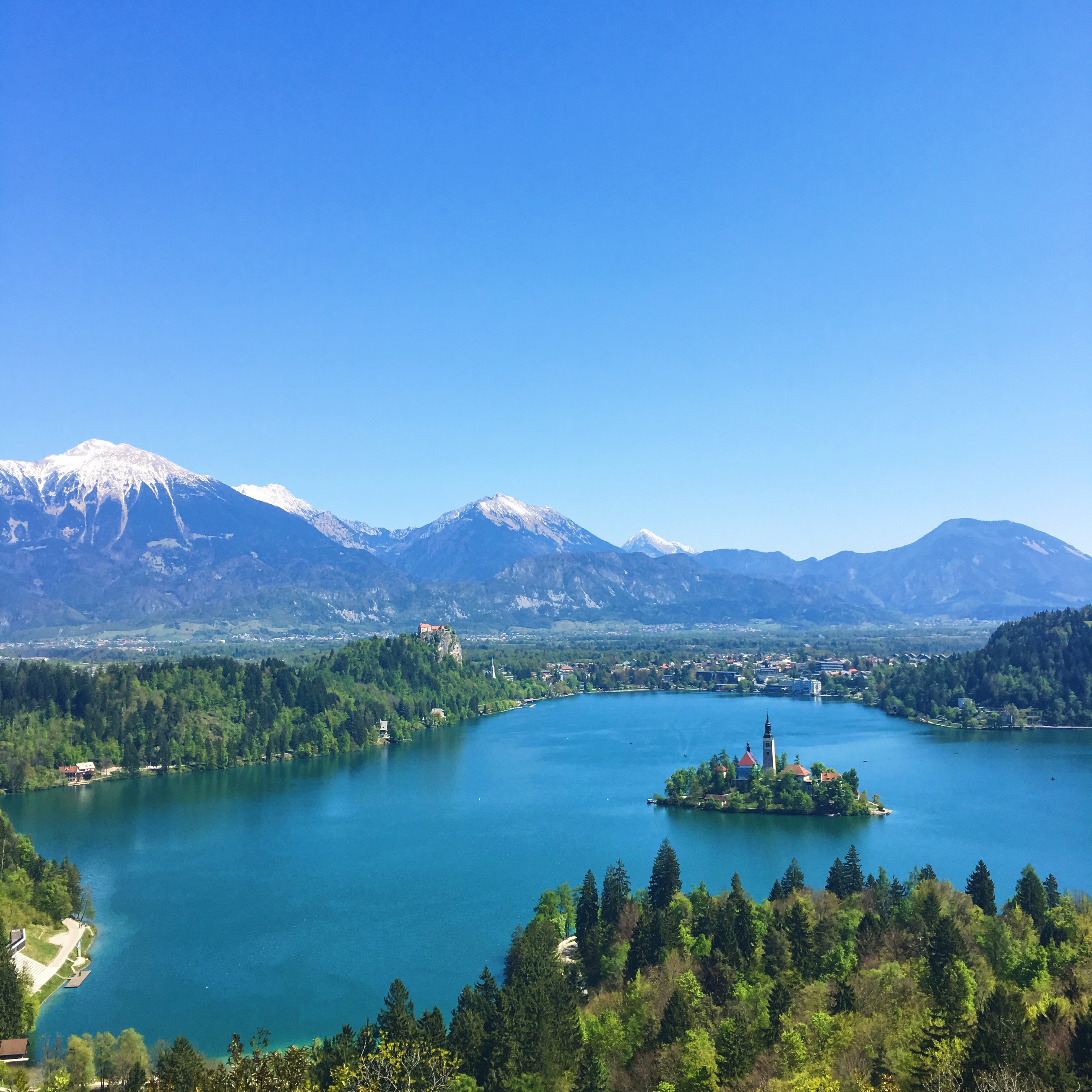 307446C5-2C5A-4035-A58C-7830CD812D6D