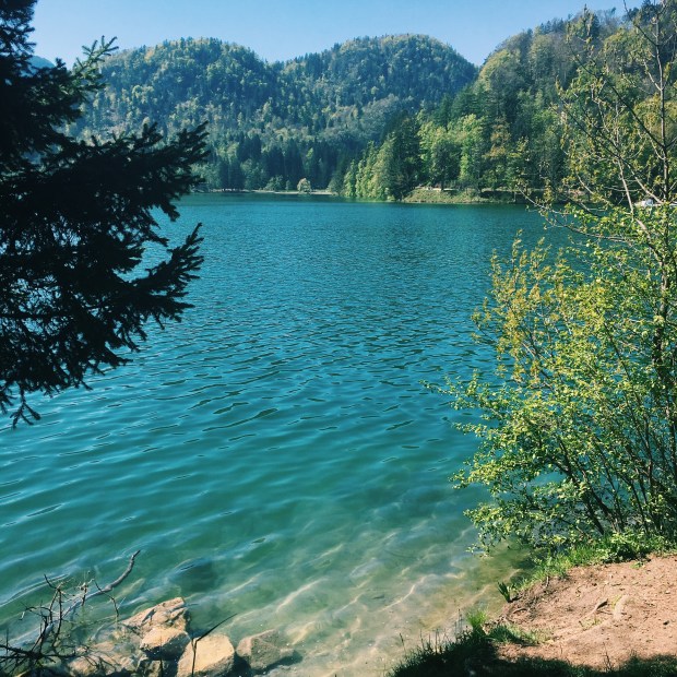 Processed with VSCO with c1 preset