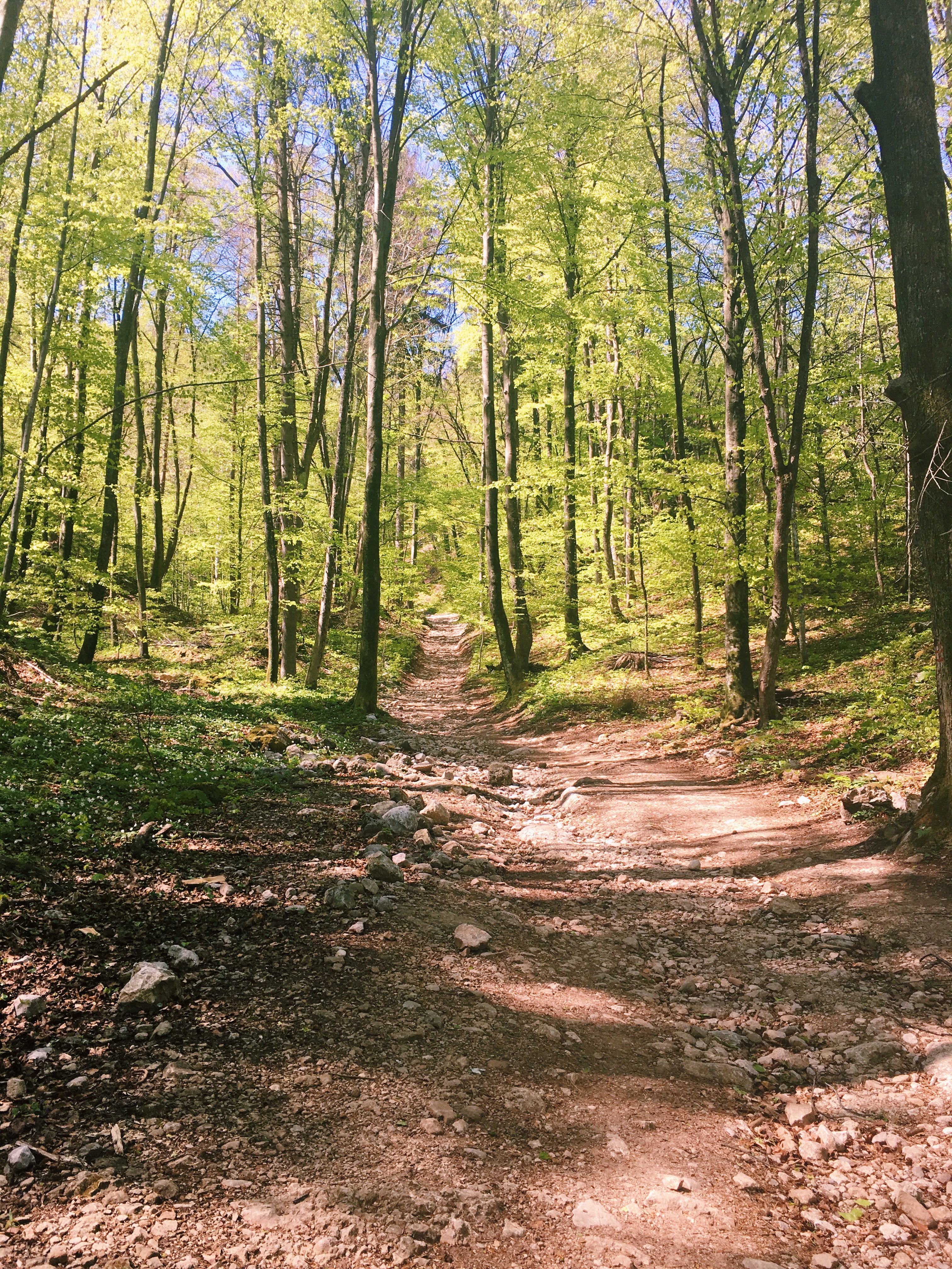 Processed with VSCO with c1 preset