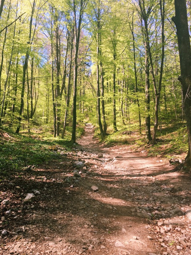 Processed with VSCO with c1 preset