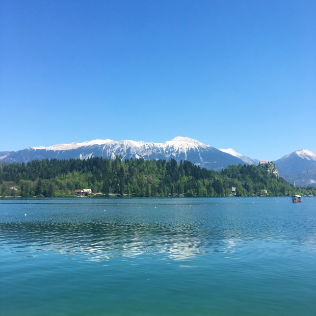 41A8EB8B-84E2-4AB0-B09F-21EE0B0A9B41