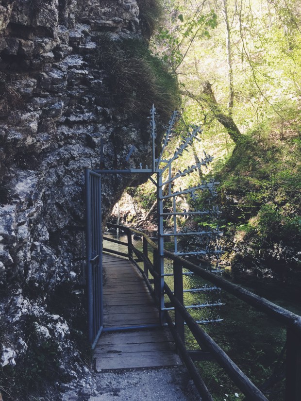 Processed with VSCO with f2 preset