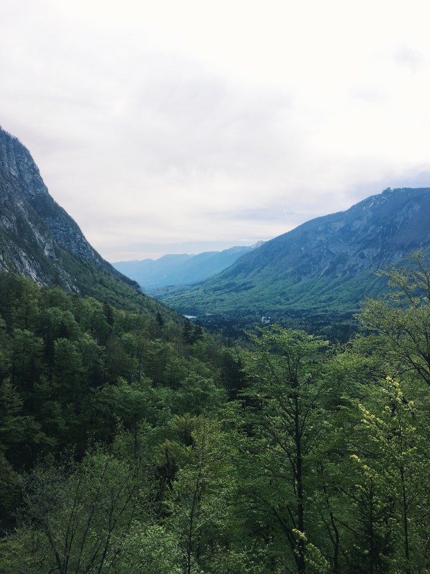 Processed with VSCO with g3 preset