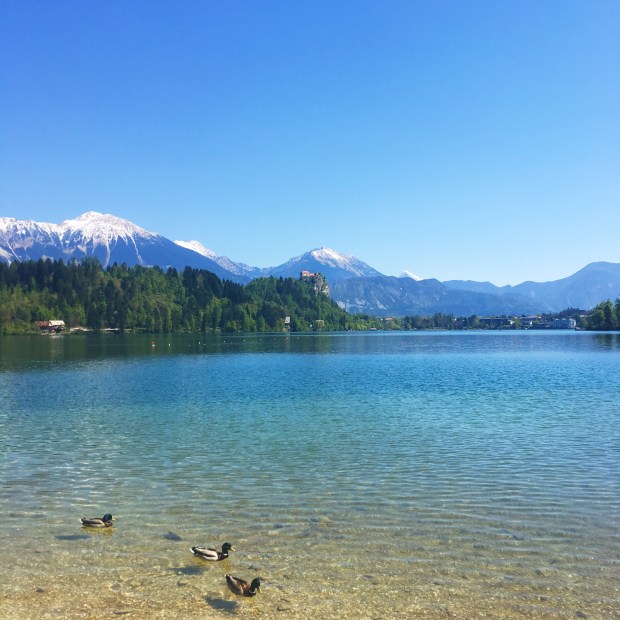 5B9B38DF-737E-499E-AFED-0E25C7404717