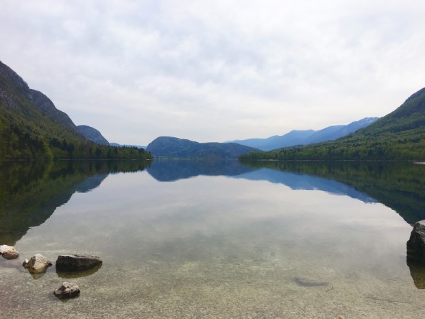 8B45B9D7-F9A6-4BD1-B291-87F15CD71A78