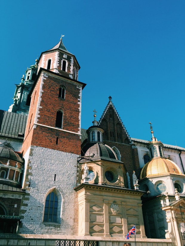 Processed with VSCO with c1 preset