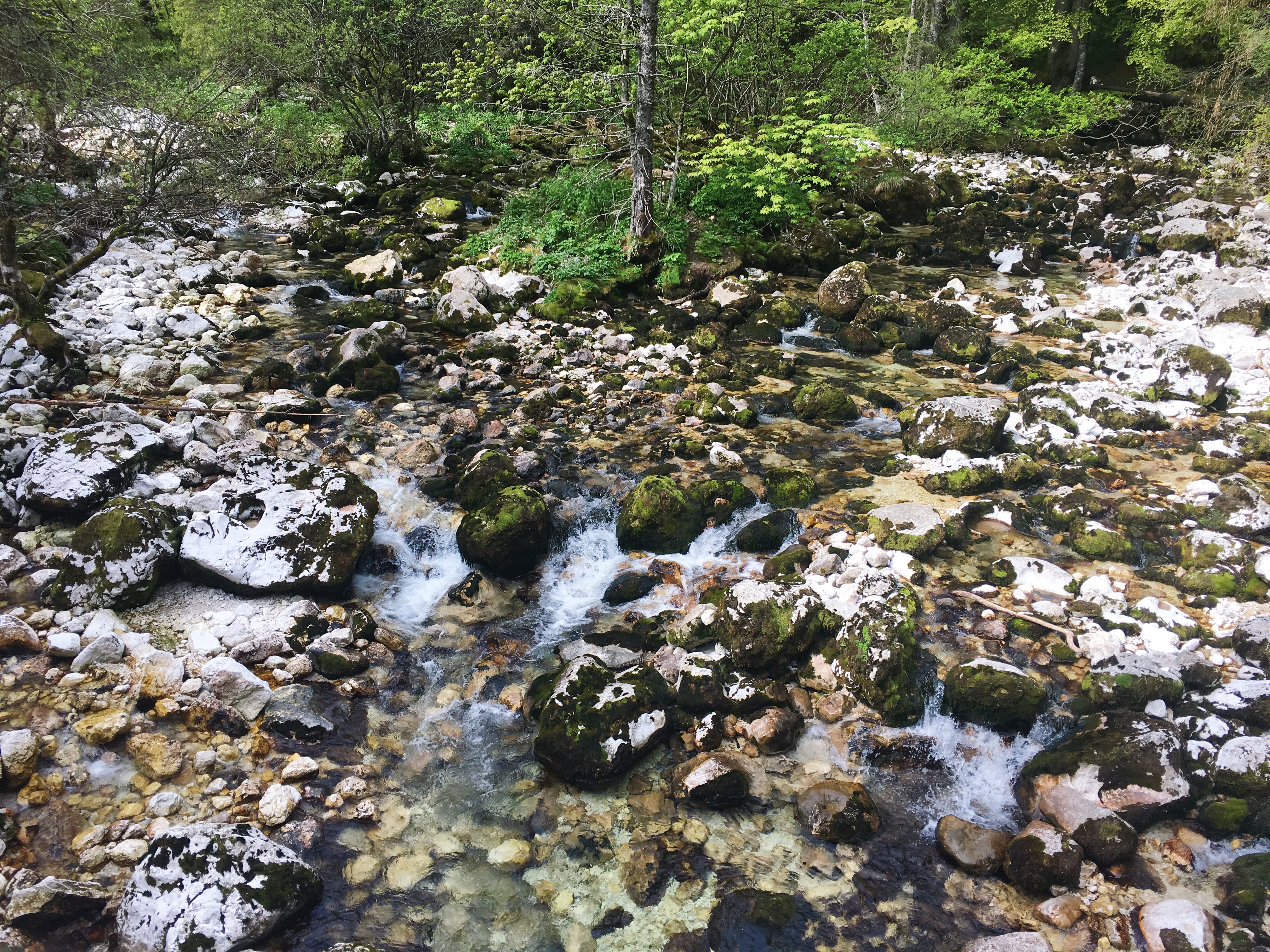 AC8614F9-3971-409C-9945-38AE5203C82F