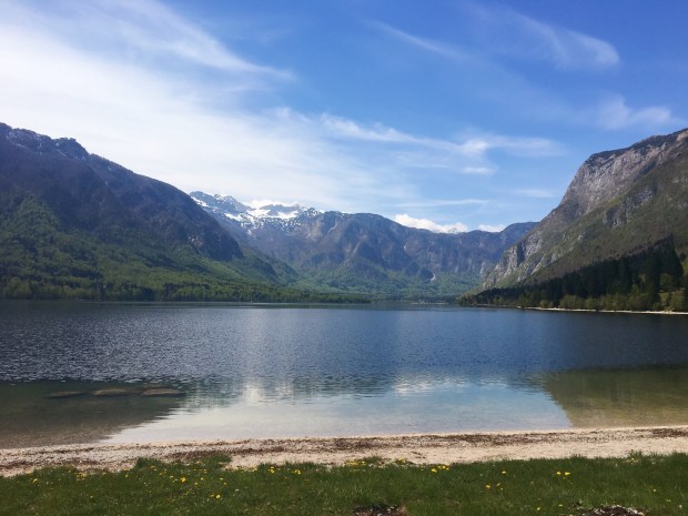 D54DC14F-1968-4800-B9A6-DDE674C44990