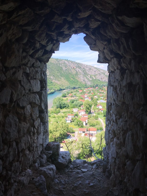 003E519D-3977-411C-80DD-B7168CF10DE1