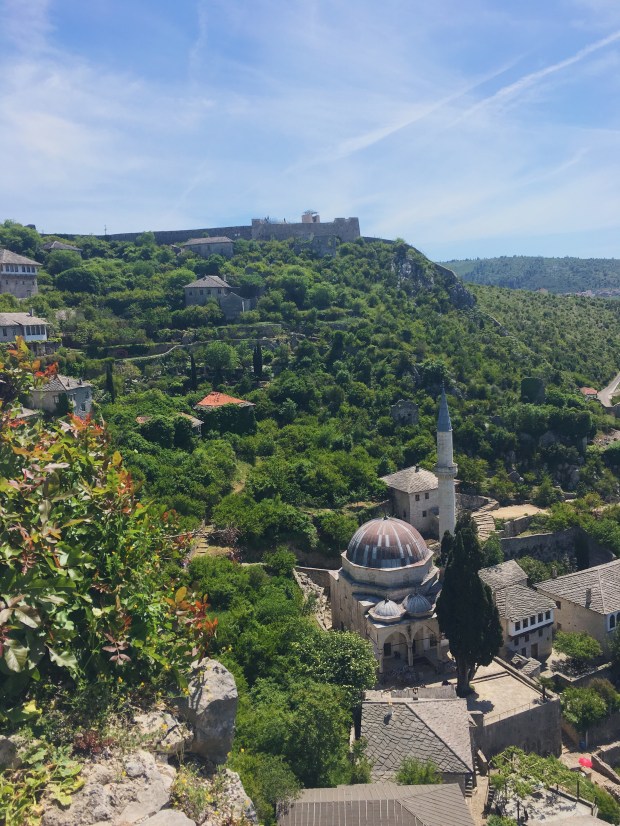 10872266-01F2-4E59-833E-F7273FF716B2