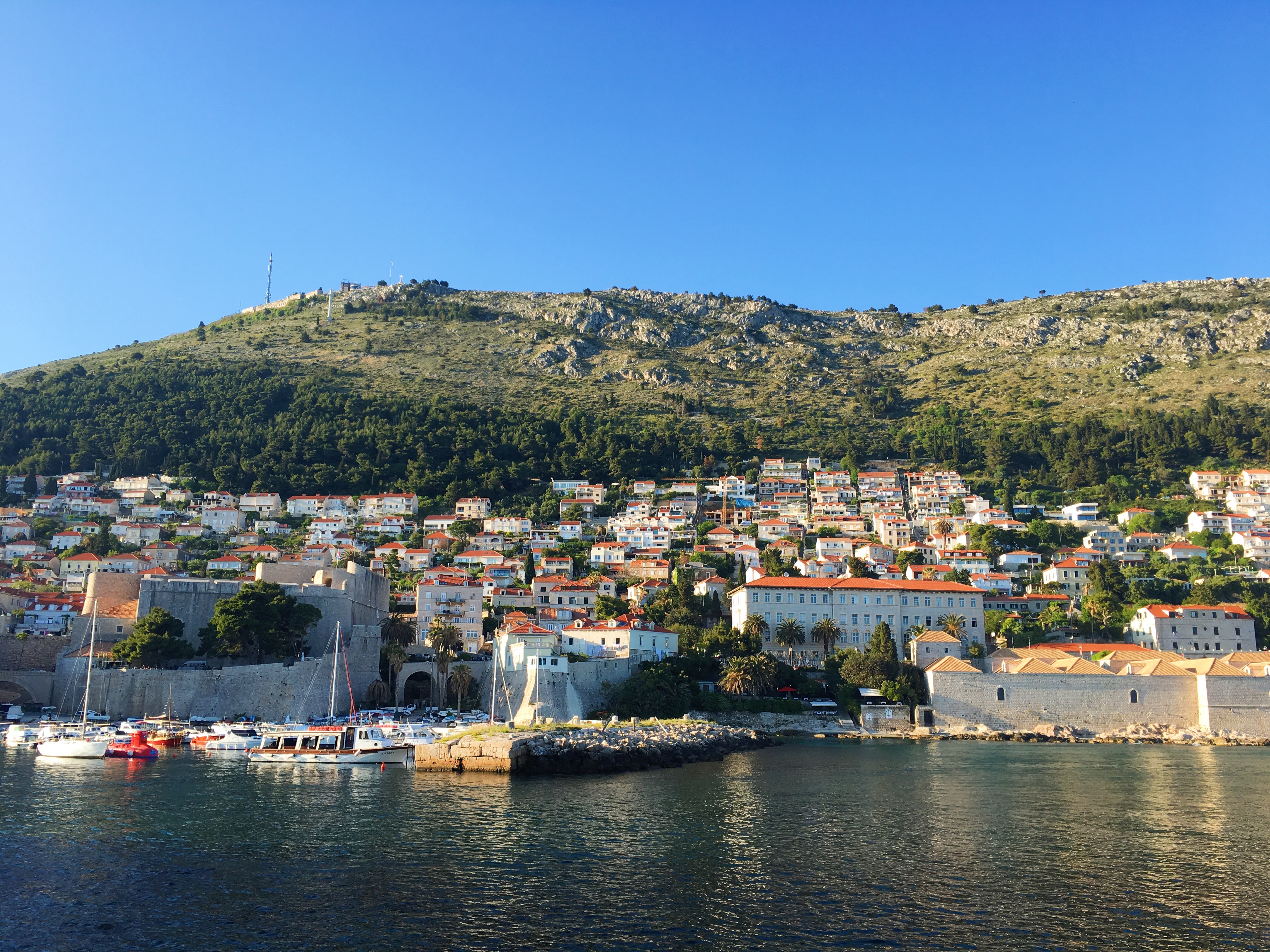 63188B29-440C-4BF7-BDCD-C8D03CFEE252