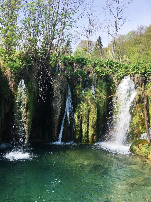 6F11AA73-3195-4E4C-BB1F-391BD53E9DB8