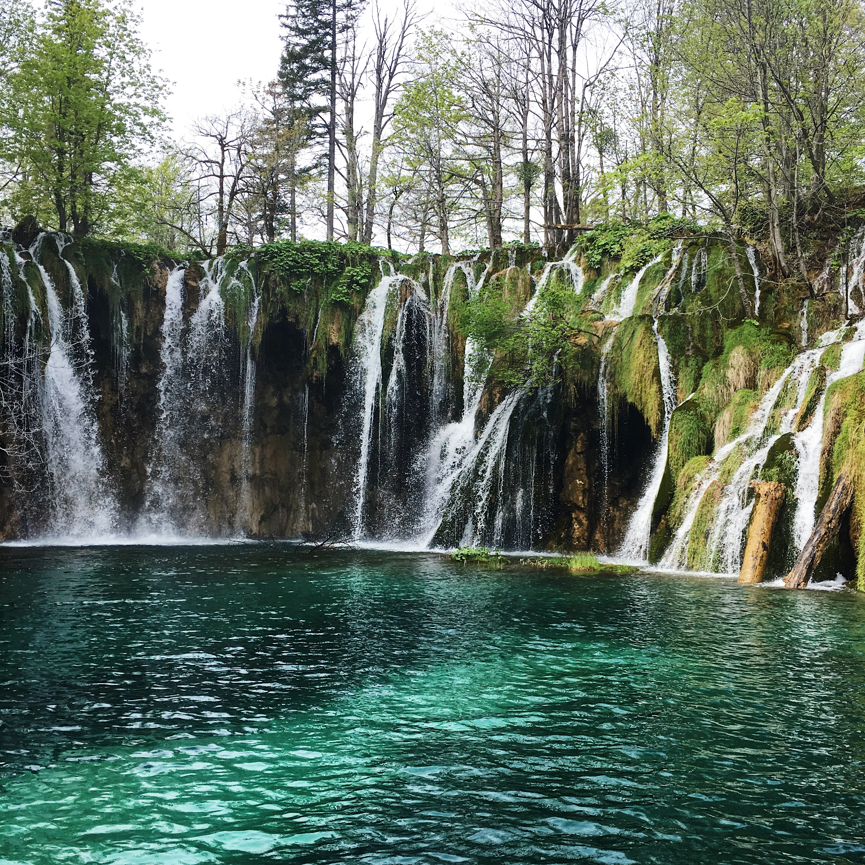 790617C1-5EB3-4F22-A662-12D46F73ED2A