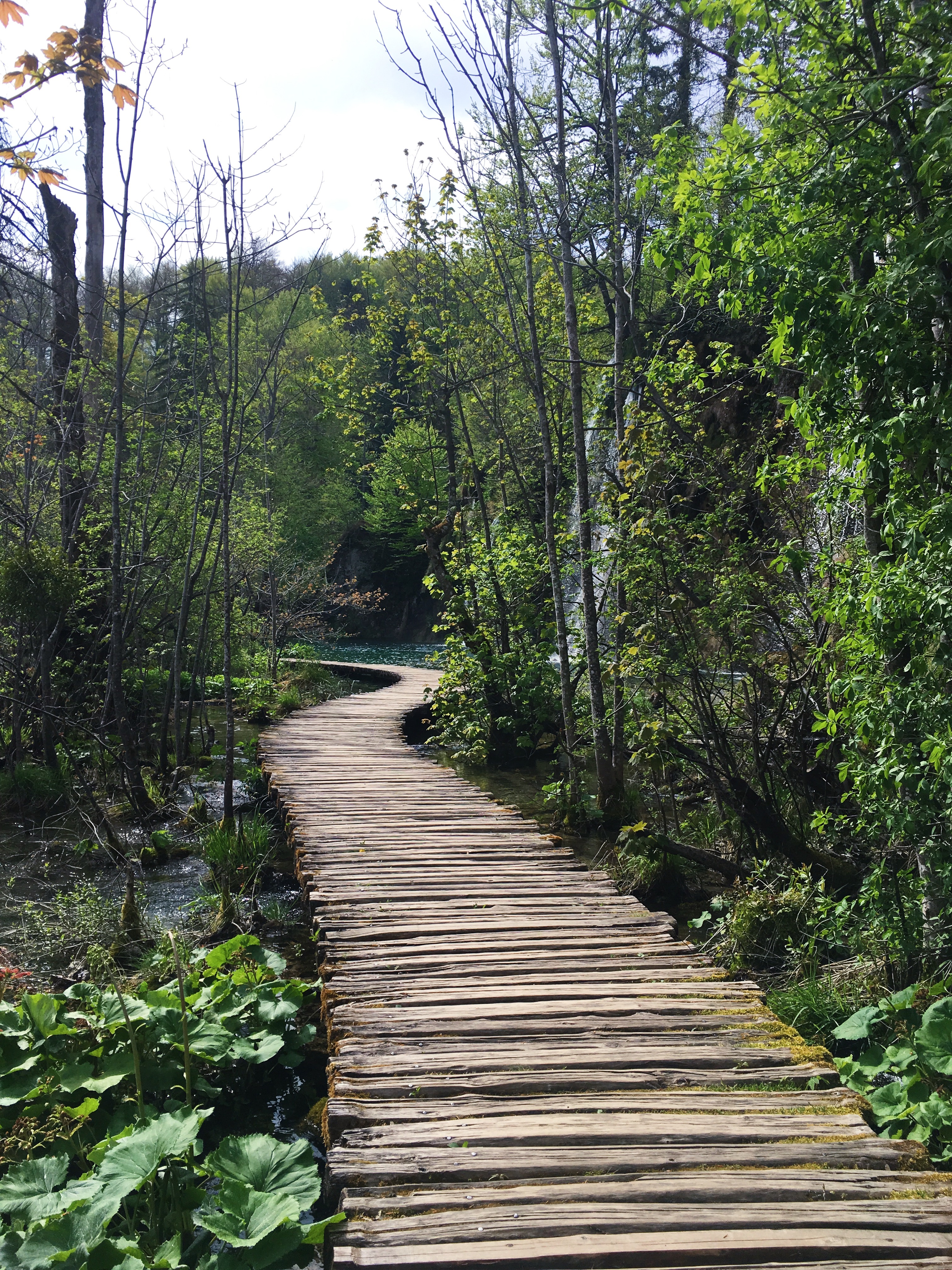 AB08872C-82F9-4676-807B-5A6832E2ED77