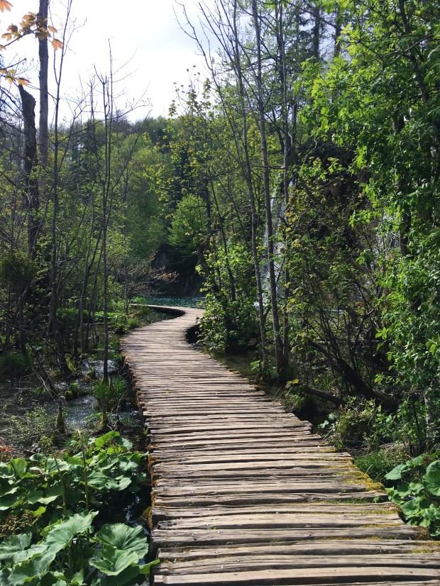 AB08872C-82F9-4676-807B-5A6832E2ED77