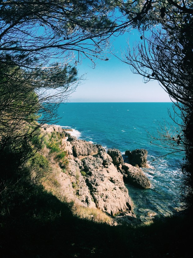 Processed with VSCO with c1 preset