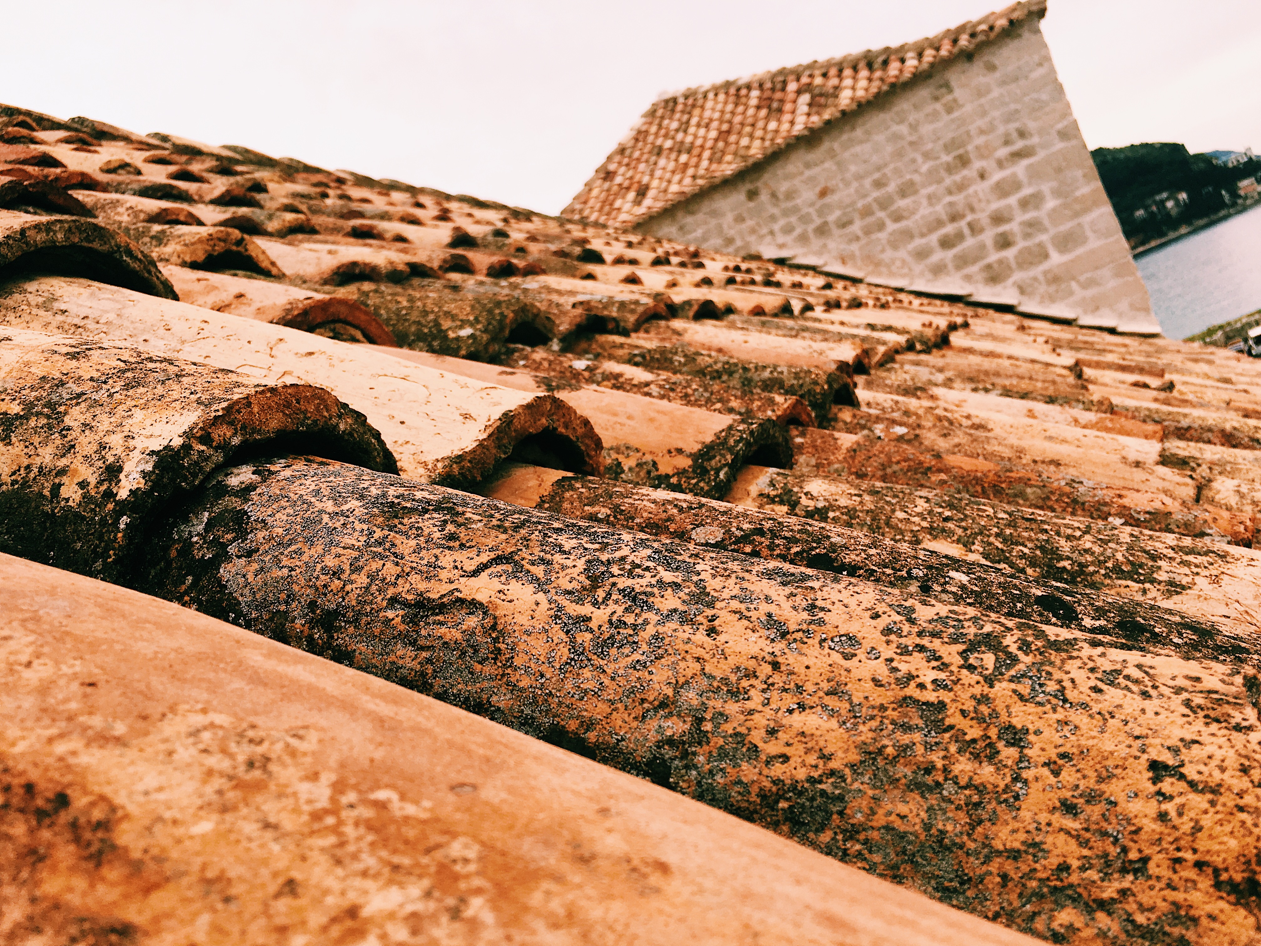 Processed with VSCO with c1 preset