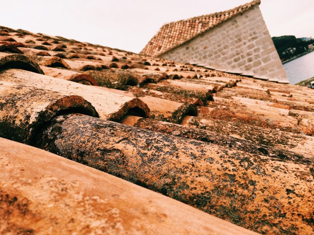 Processed with VSCO with c1 preset