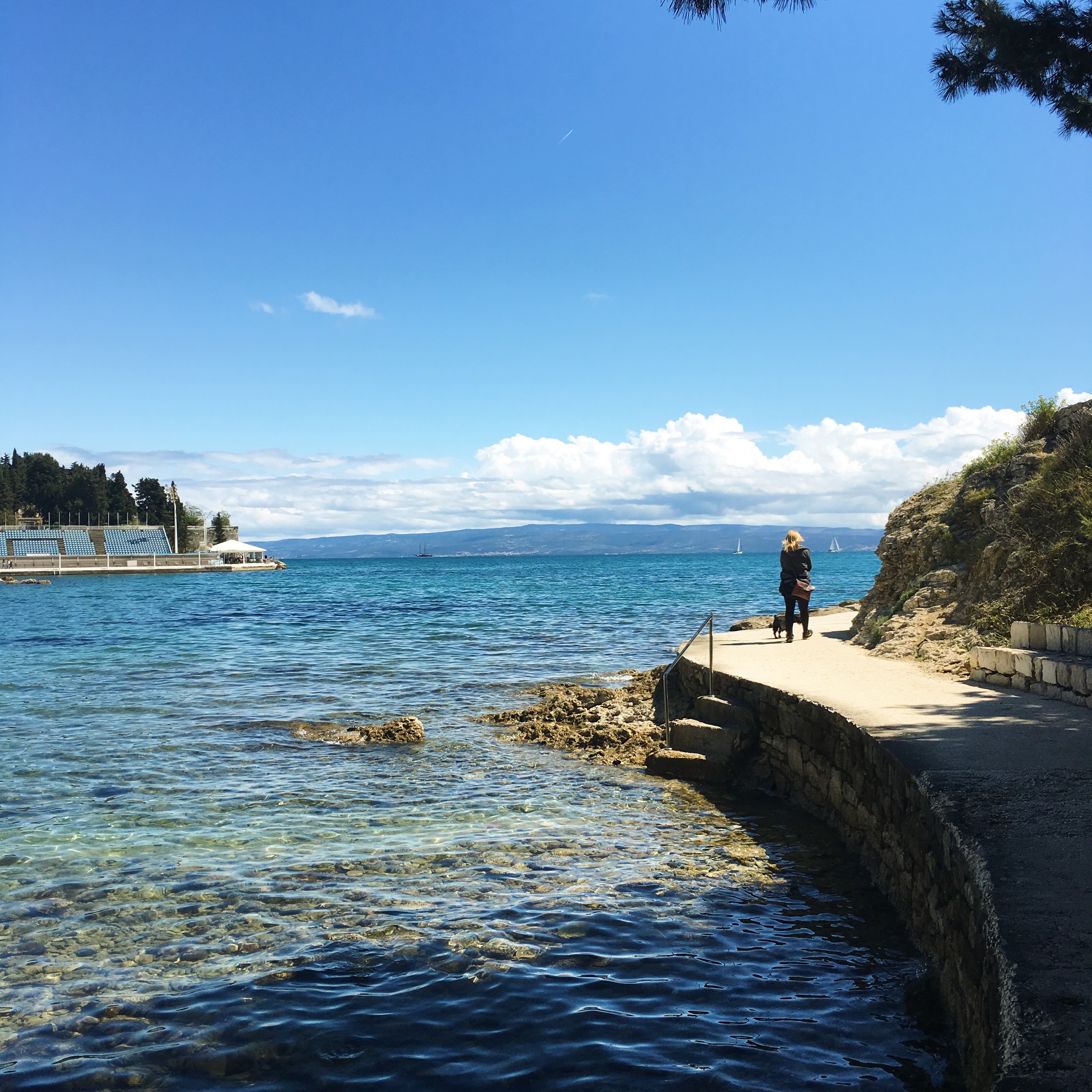 F3C2F411-217D-4C0F-9BC1-2EDE66E0854B