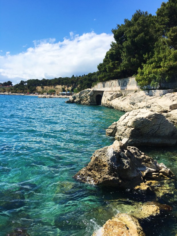 F66A0B71-7862-4DC2-B7BC-9D4999233B6E