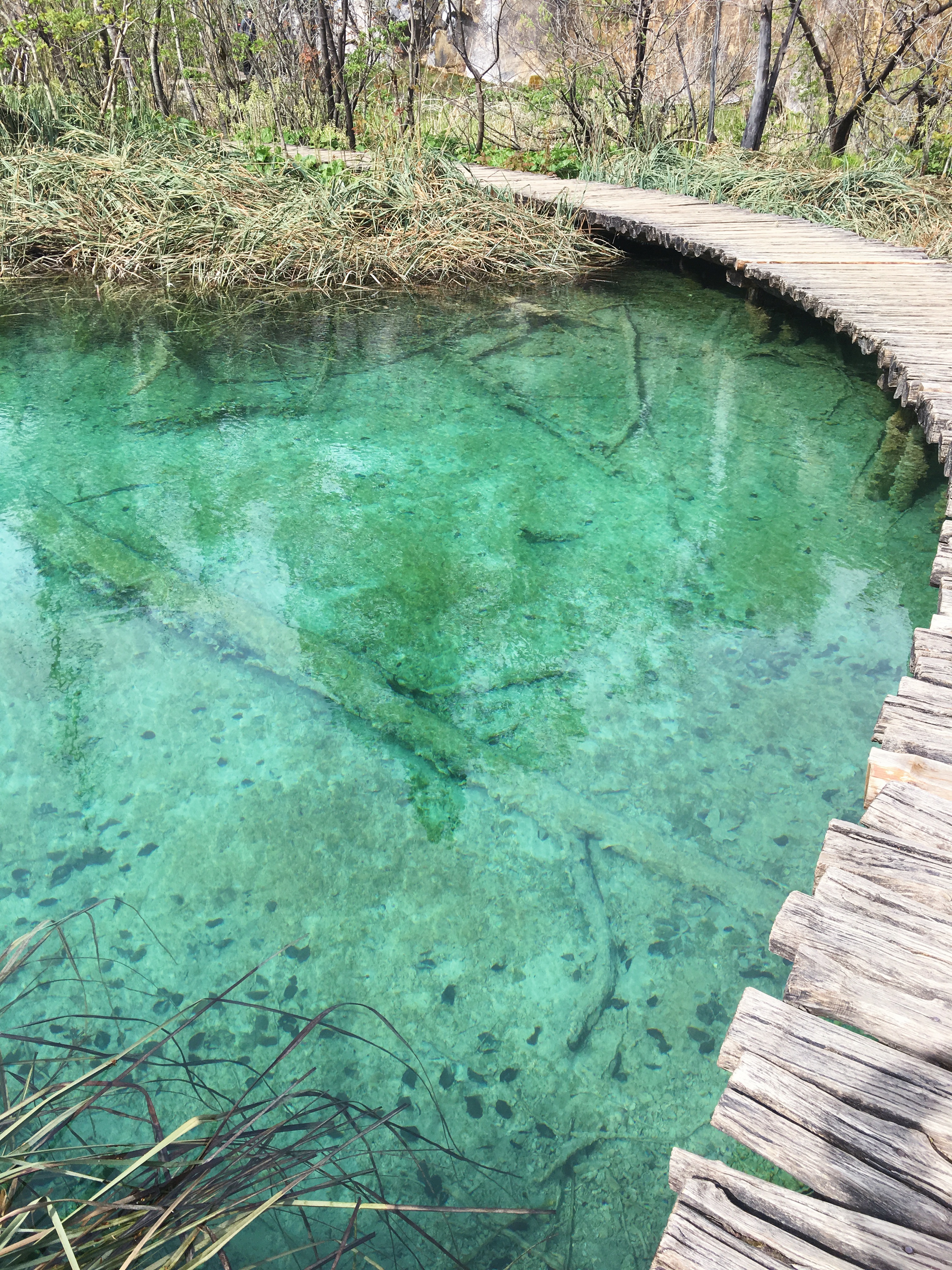 F9591828-FBCB-4EB9-89E1-16198676C514