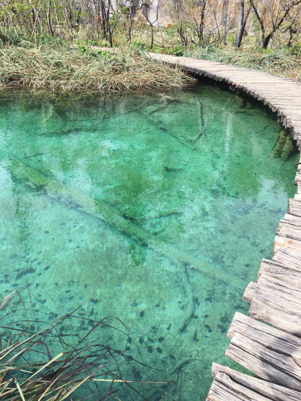 F9591828-FBCB-4EB9-89E1-16198676C514