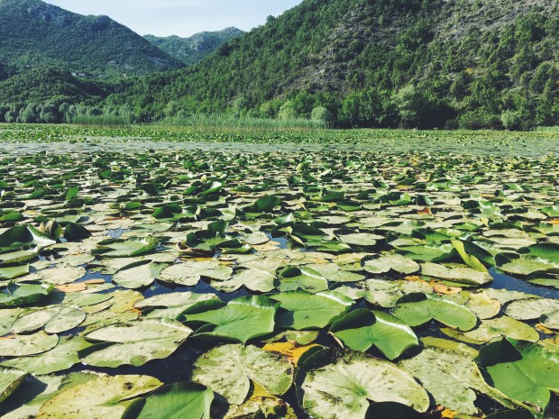 Processed with VSCO with f2 preset