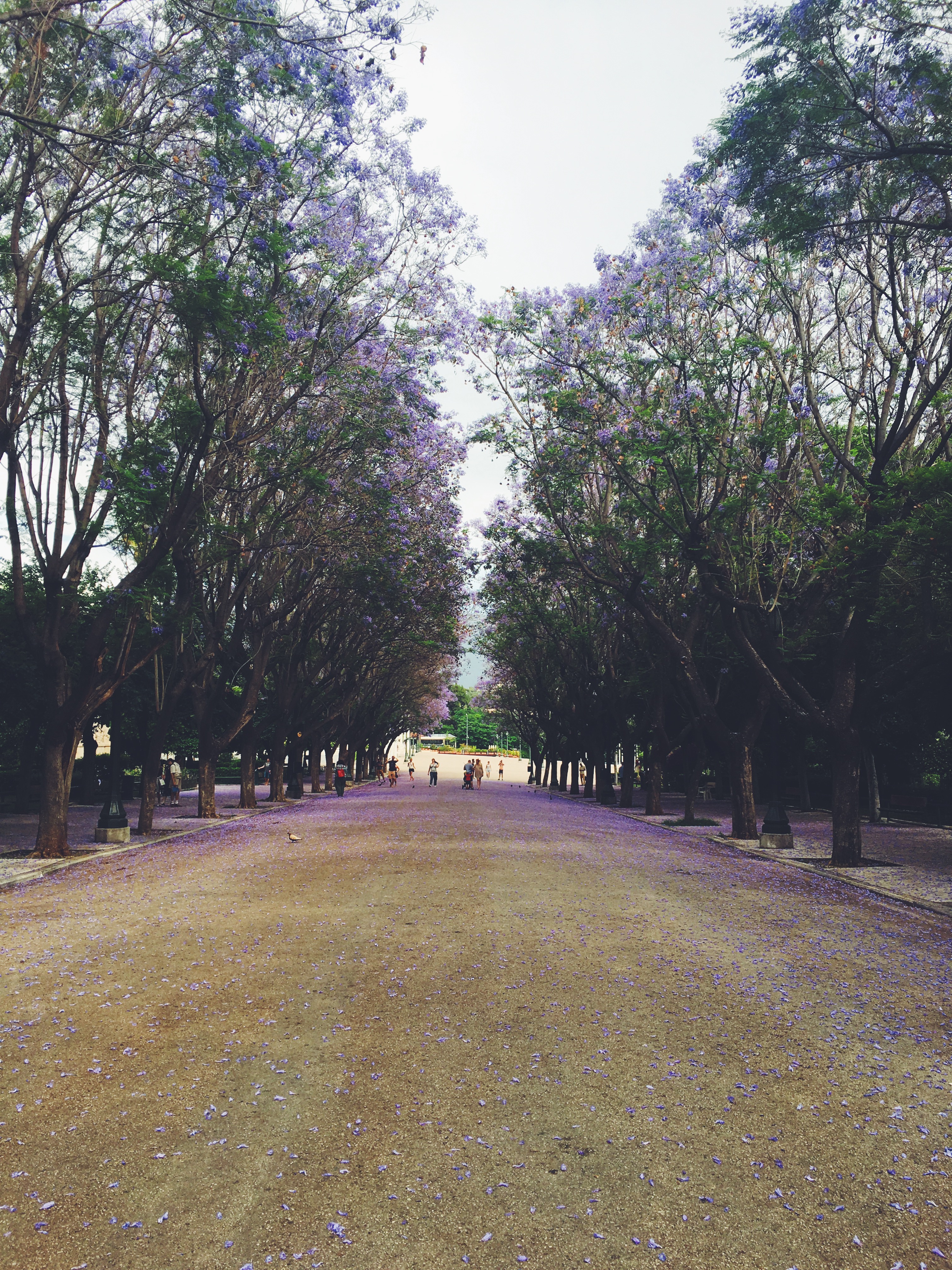 Processed with VSCO with f2 preset