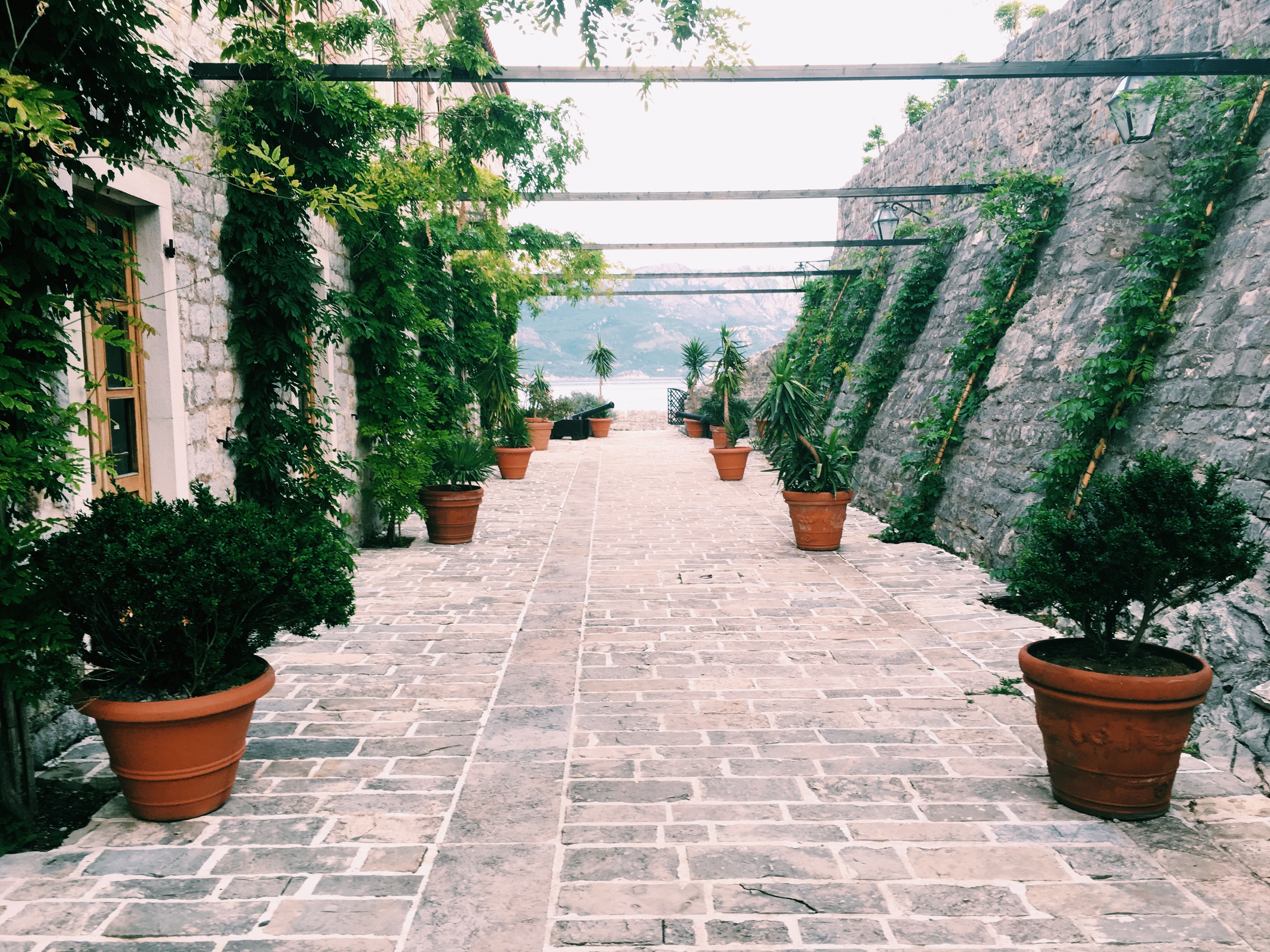 Processed with VSCO with c1 preset