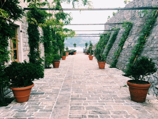 Processed with VSCO with c1 preset