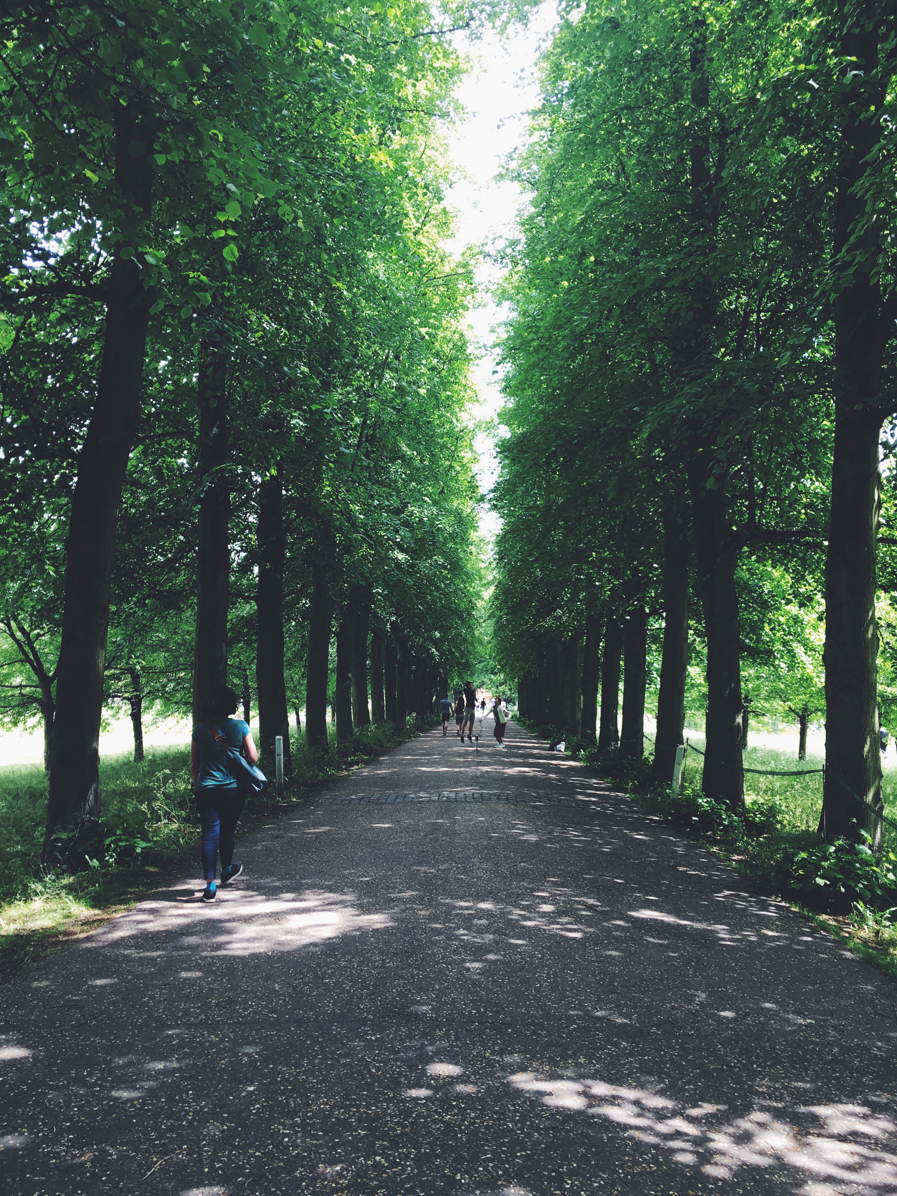 Processed with VSCO with f2 preset