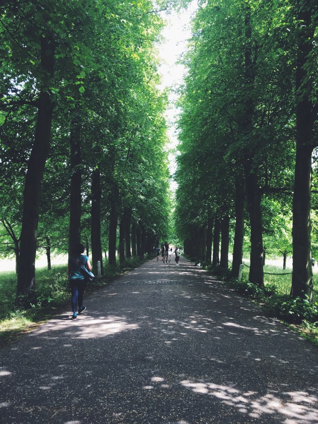 Processed with VSCO with f2 preset