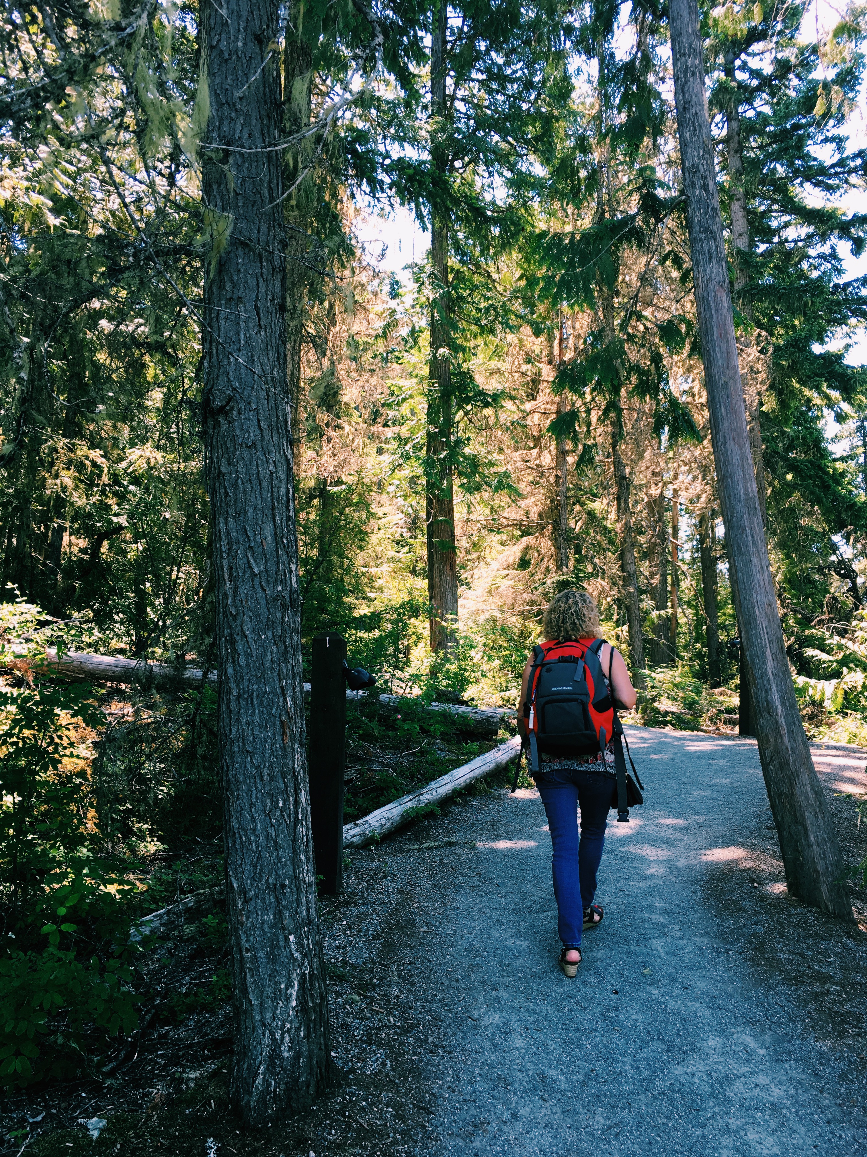 Processed with VSCO with c1 preset