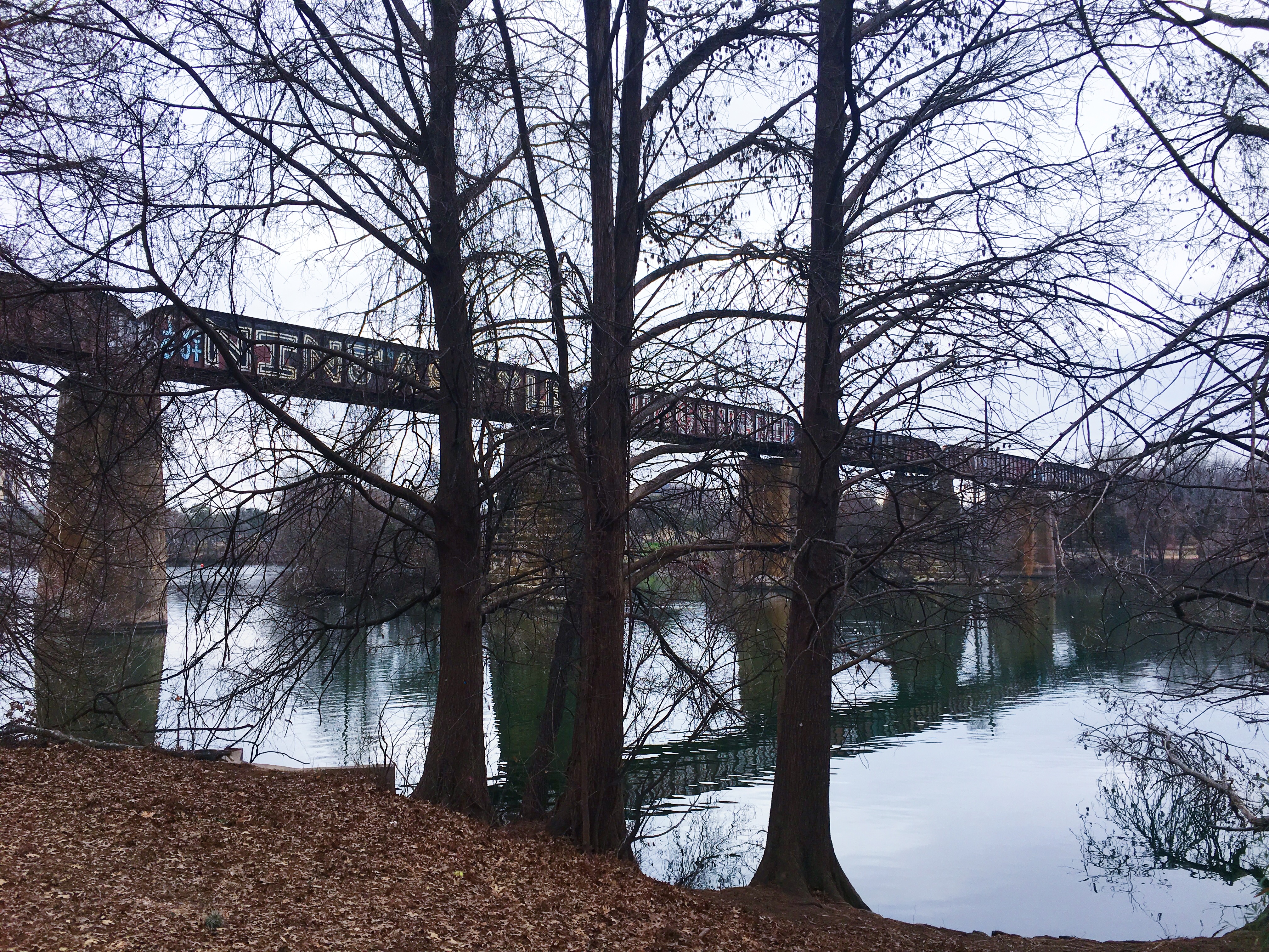 8E465F1C-C644-411A-ADBB-E6F9A9454D2F