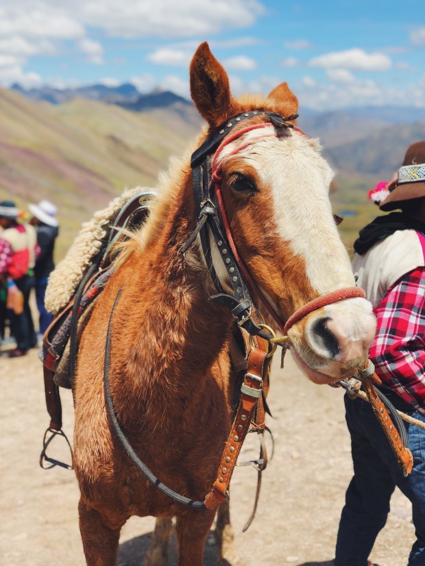 Processed with VSCO with f2 preset