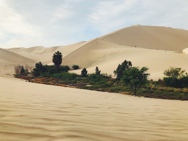 Processed with VSCO with f2 preset